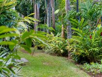 Mon choisy Beach Resort