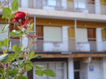 Mi Casa