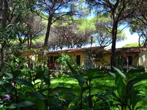 Horse Country Resort Congress & Spa
