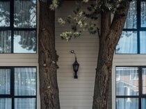 Cerro Calafate Hotel