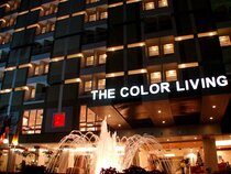 The Color Living