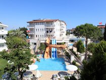 Catty Cats Garden Hotel