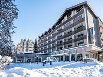 Hotel des Alpes