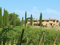 Tenuta Sovestro