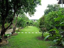 Sor Vorapin Muay Thai Home