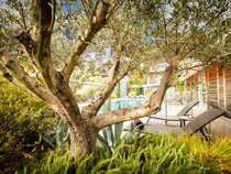 Courtyard By Marriot Montpellier
