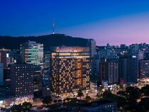 Novotel Ambassador Seoul Dongdaemun Hotel & Residences