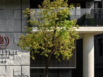 DoubleTree By Hilton Taipei Zhongshan
