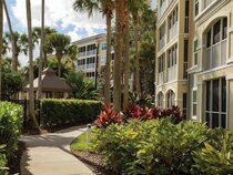 Drive/Orlando