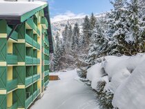 Alpine Club