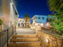 Cactus Hotel