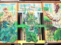 Natural Hotel