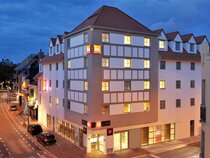 Ibis de Panne