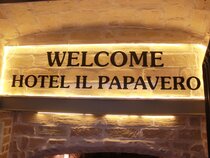 Il Papavero