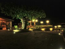 Tenuta del Perugino