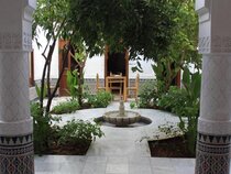 Riad Ben Youssef