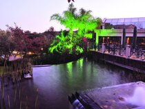 Protea Midrand