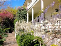 MacArthur Place