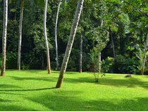 Clove Garden Hotel