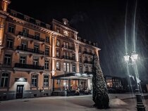 Parkhotel Du Sauvage