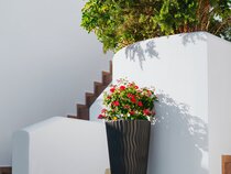 Aelia Apartments & Suites