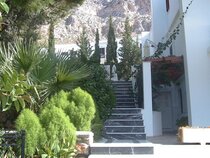 Oasis