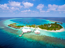 Safari Island