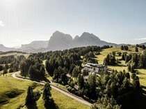 Dellai