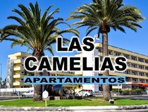 Las Camelias