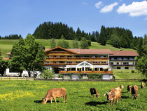 Sonnenbichl am Rotfischbach