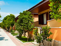 Özlem Garden