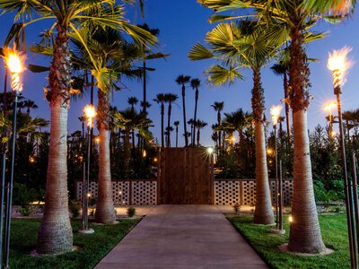 a DoubleTree Suites by Hilton Hotel Foto 8