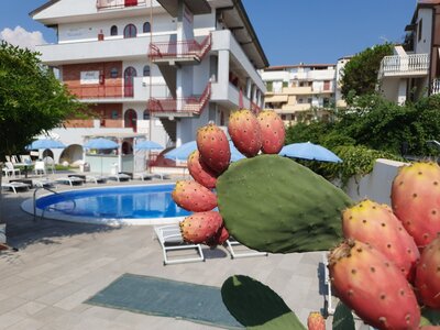 Hotel Alexander Foto 6