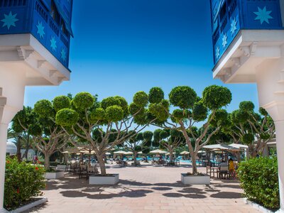 Mirage Hotel Foto 10