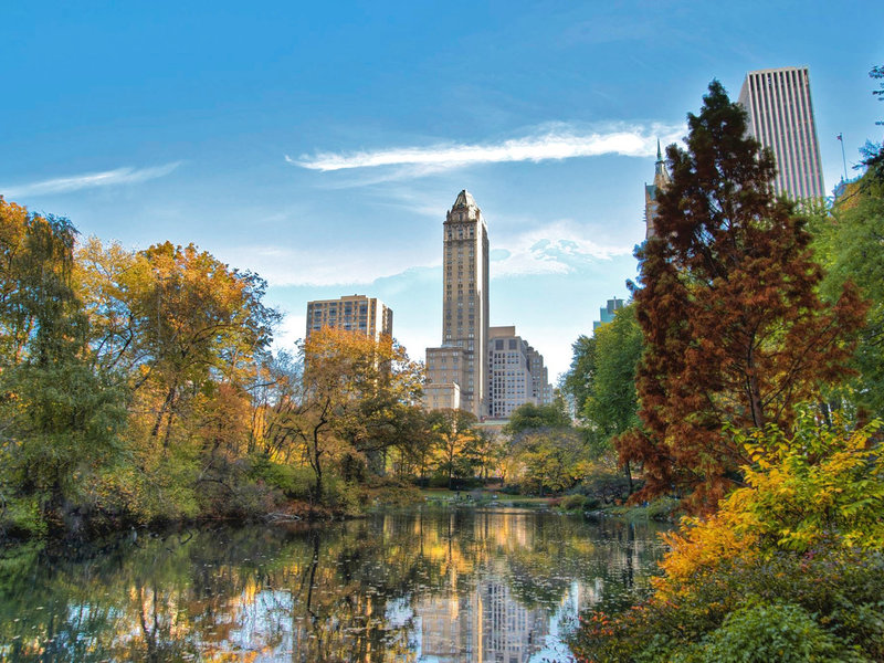 The Pierre, A Taj Hotel