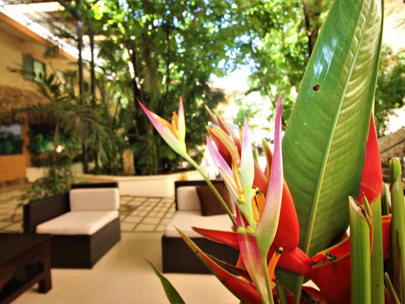 Hotel Maya Tulipanes Mexiko