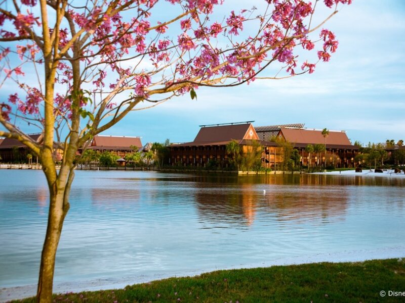 Disney's Polynesian Resort