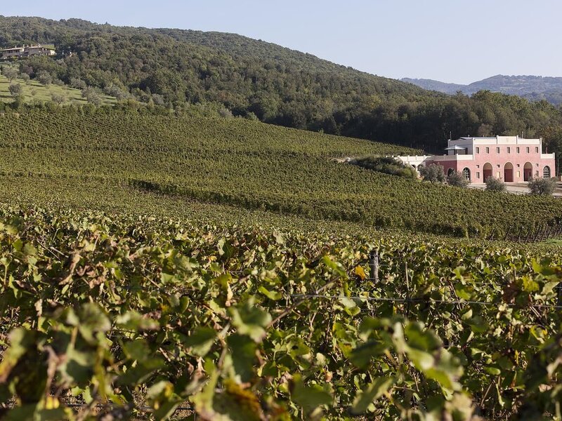 Tenuta il Sassone - Wine&Food Italien Gavorrano