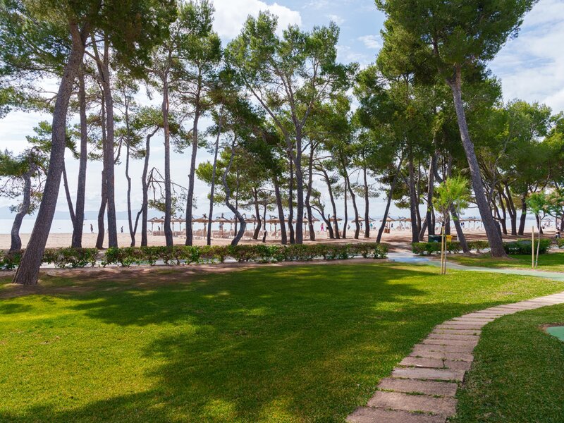 Ferrer Lime Playa de Alcudia Spanien Alcudia