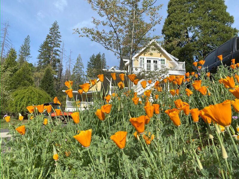 The Blackberry Inn USA Mariposa