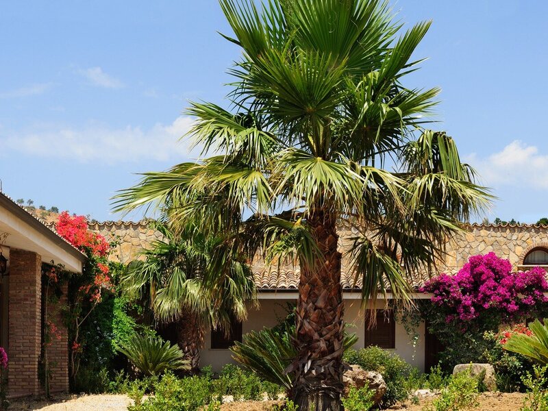 Villa Dafne Italien Alia