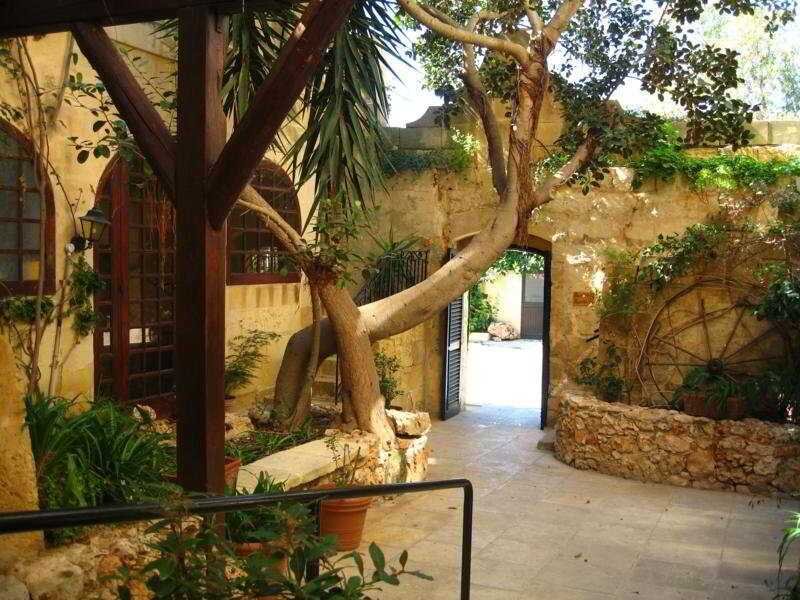 Cornucopia Malta Xaghra