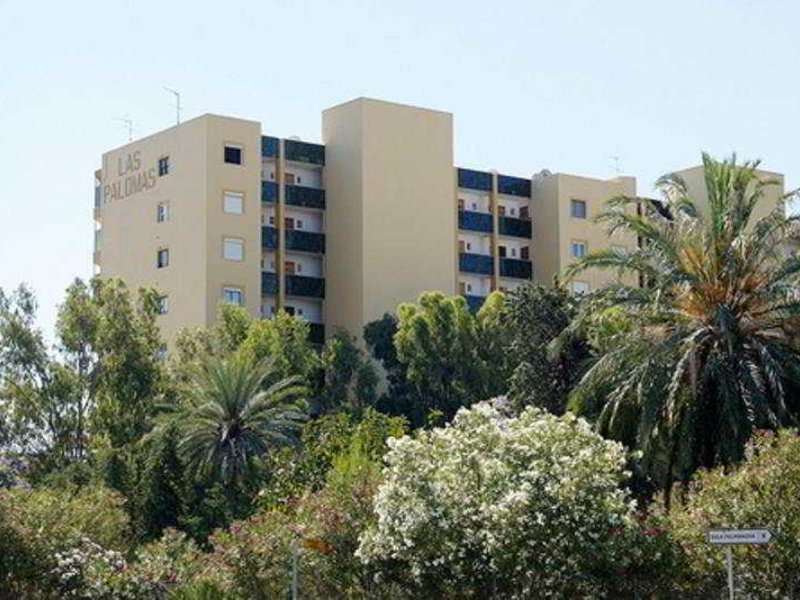 Las palomas. Пальма Нова Майорка. La Paloma Malta